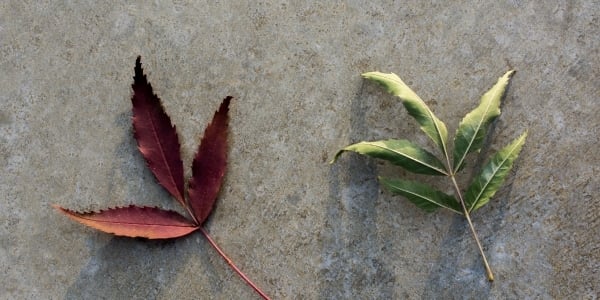 Add a little bit of body text (20)